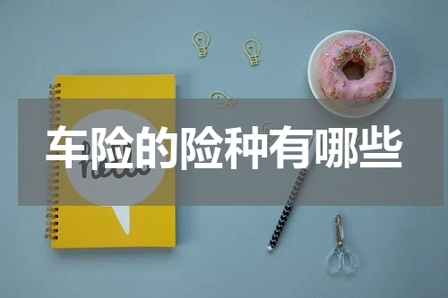 车险的险种有哪些