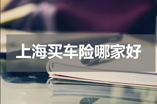 上海买车险哪家好