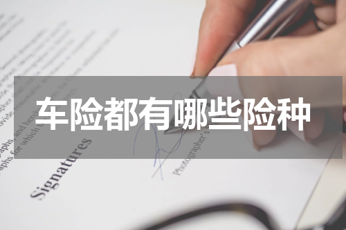 车险都有哪些险种