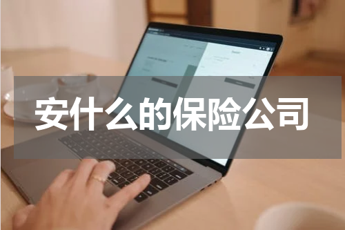安什么的保险公司