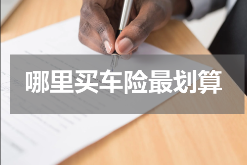 哪里买车险最划算