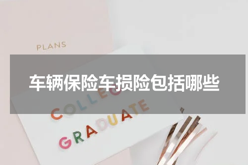 车辆保险车损险包括哪些