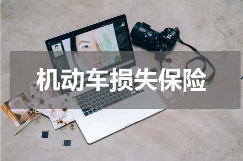 机动车损失保险