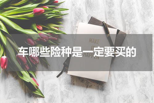 车哪些险种是一定要买的