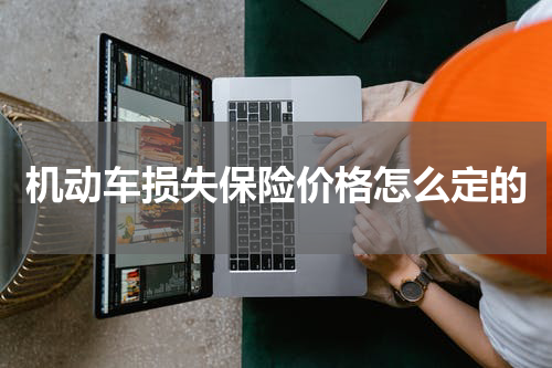 机动车损失保险价格怎么定的