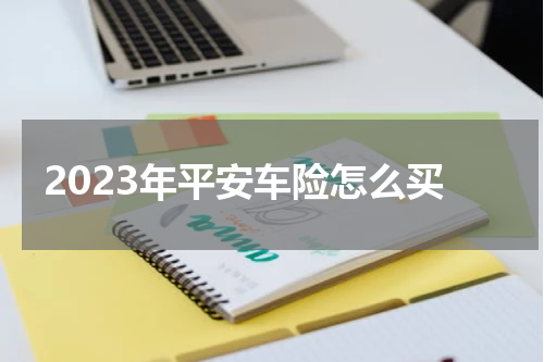 2023年平安车险怎么买