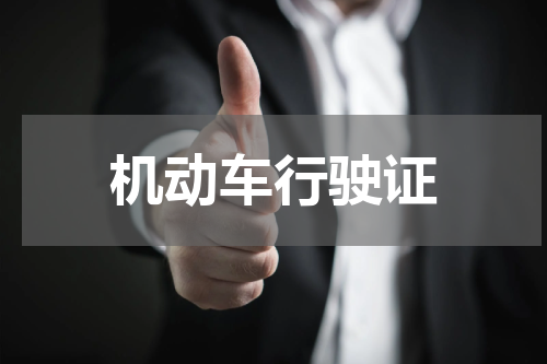 机动车行驶证