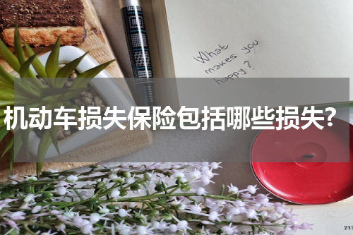机动车损失保险包括哪些损失?