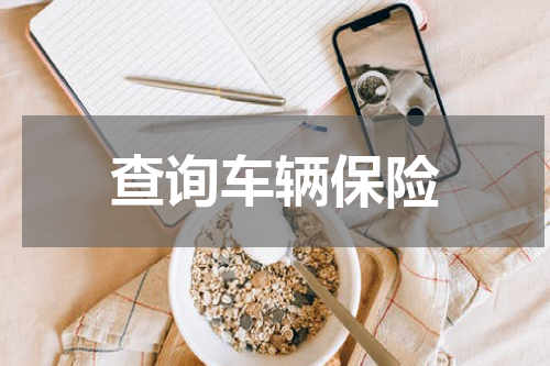 查询车辆保险
