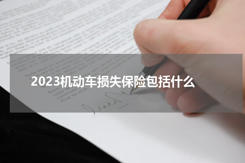 2023机动车损失保险包括什么