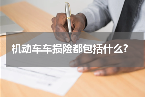 机动车车损险都包括什么?