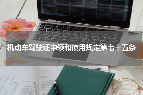 机动车驾驶证申领和使用规定第七十五条