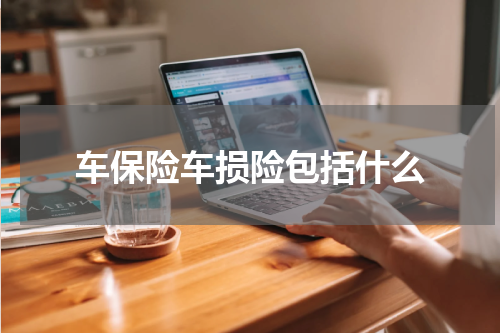 车保险车损险包括什么