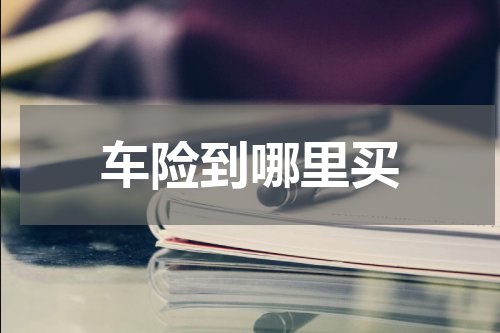 车险到哪里买
