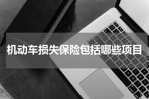 机动车损失保险包括哪些项目