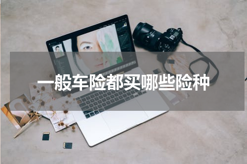 一般车险都买哪些险种