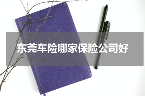东莞车险哪家保险公司好