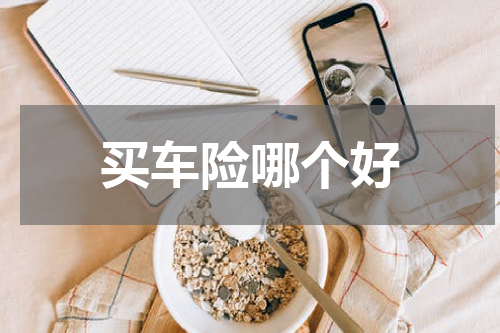 买车险哪个好