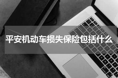平安机动车损失保险包括什么