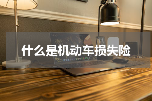 什么是机动车损失险