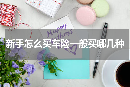 新手怎么买车险一般买哪几种