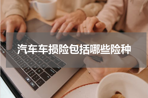 汽车车损险包括哪些险种