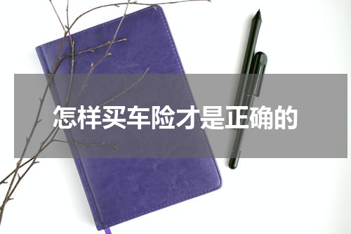 怎样买车险才是正确的
