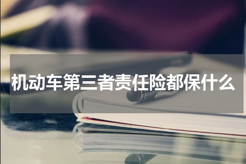 机动车第三者责任险都保什么