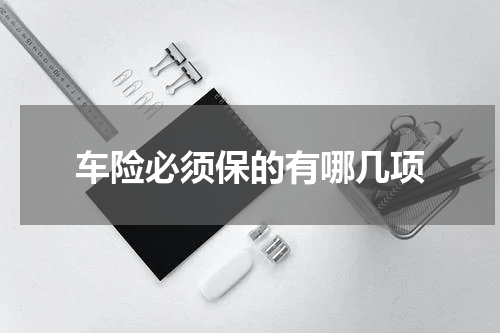 车险必须保的有哪几项