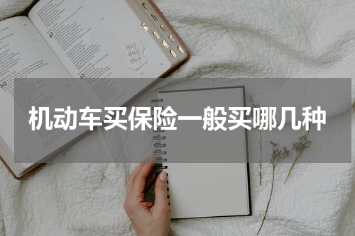 机动车买保险一般买哪几种