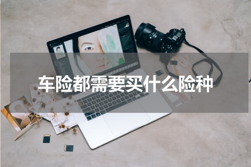 车险都需要买什么险种