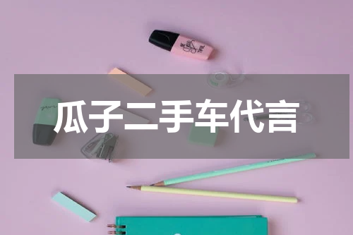 瓜子二手车代言
