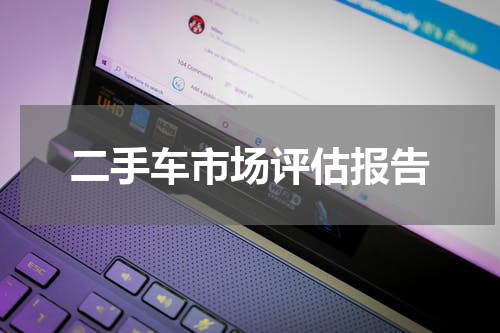二手车市场评估报告