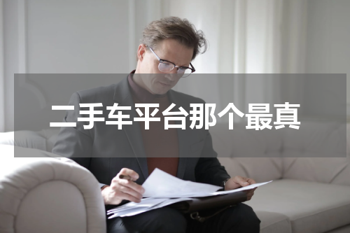 二手车平台那个最真