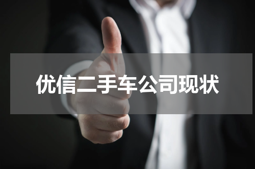 优信二手车公司现状