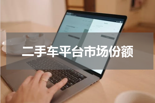 二手车平台市场份额