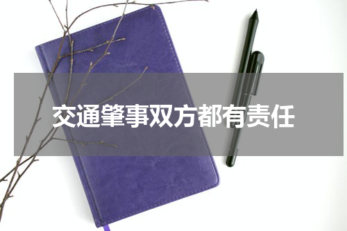 交通肇事双方都有责任