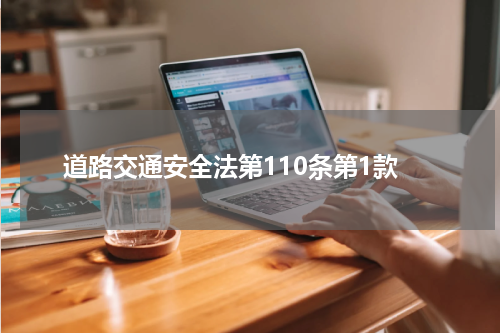 道路交通安全法第110条第1款