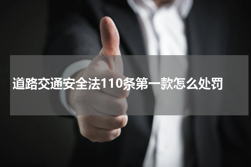 道路交通安全法110条第一款怎么处罚