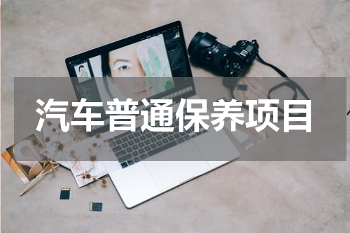 汽车普通保养项目