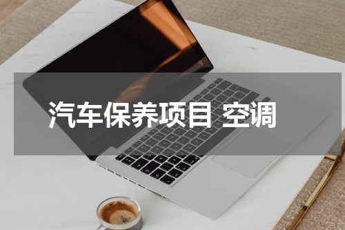 汽车保养项目 空调