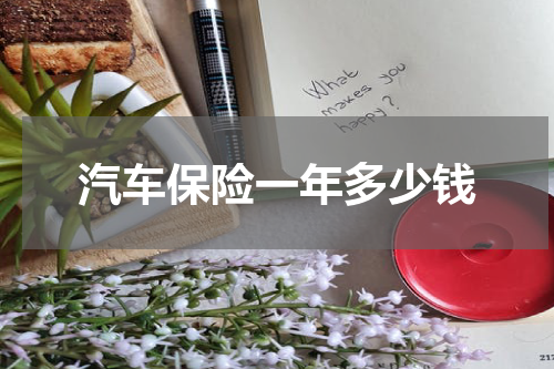汽车保险一年多少钱