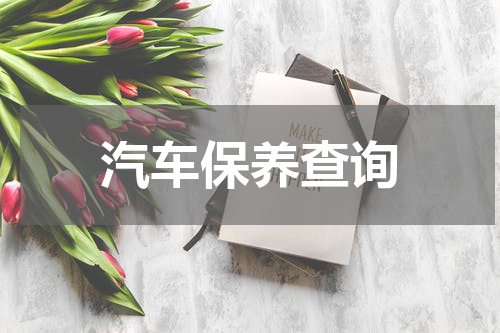 汽车保养查询
