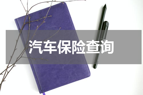 汽车保险查询