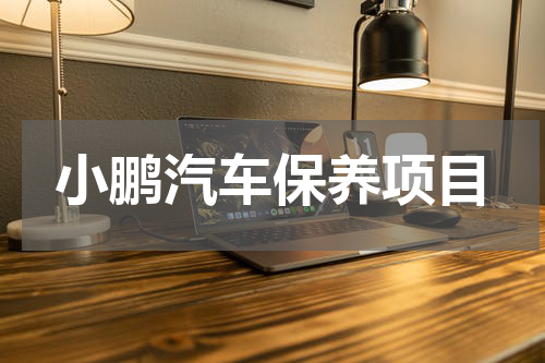 小鹏汽车保养项目