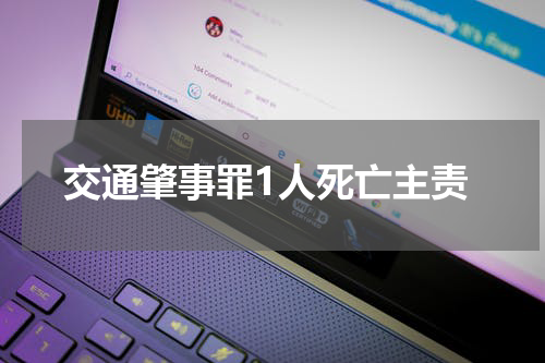 交通肇事罪1人死亡主责