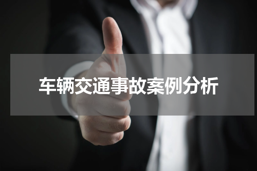 车辆交通事故案例分析