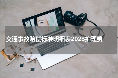 交通事故赔偿标准明细表2023护理费