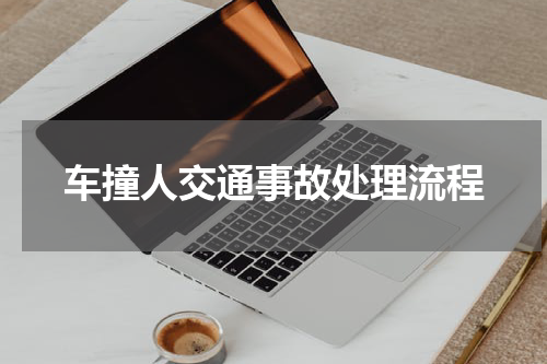 车撞人交通事故处理流程