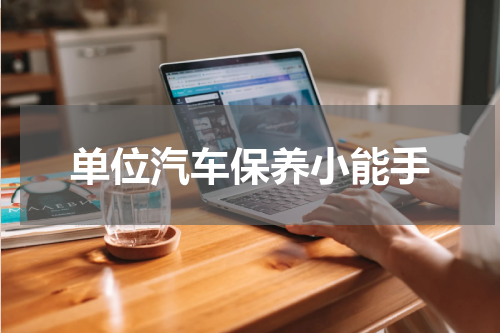 单位汽车保养小能手